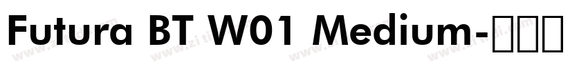 Futura BT W01 Medium字体转换